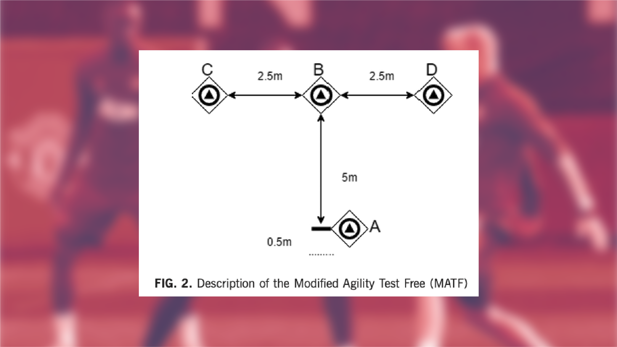 La influencia de la duración del calentamiento RRSS 1308 03 - La influencia de la duración del calentamiento