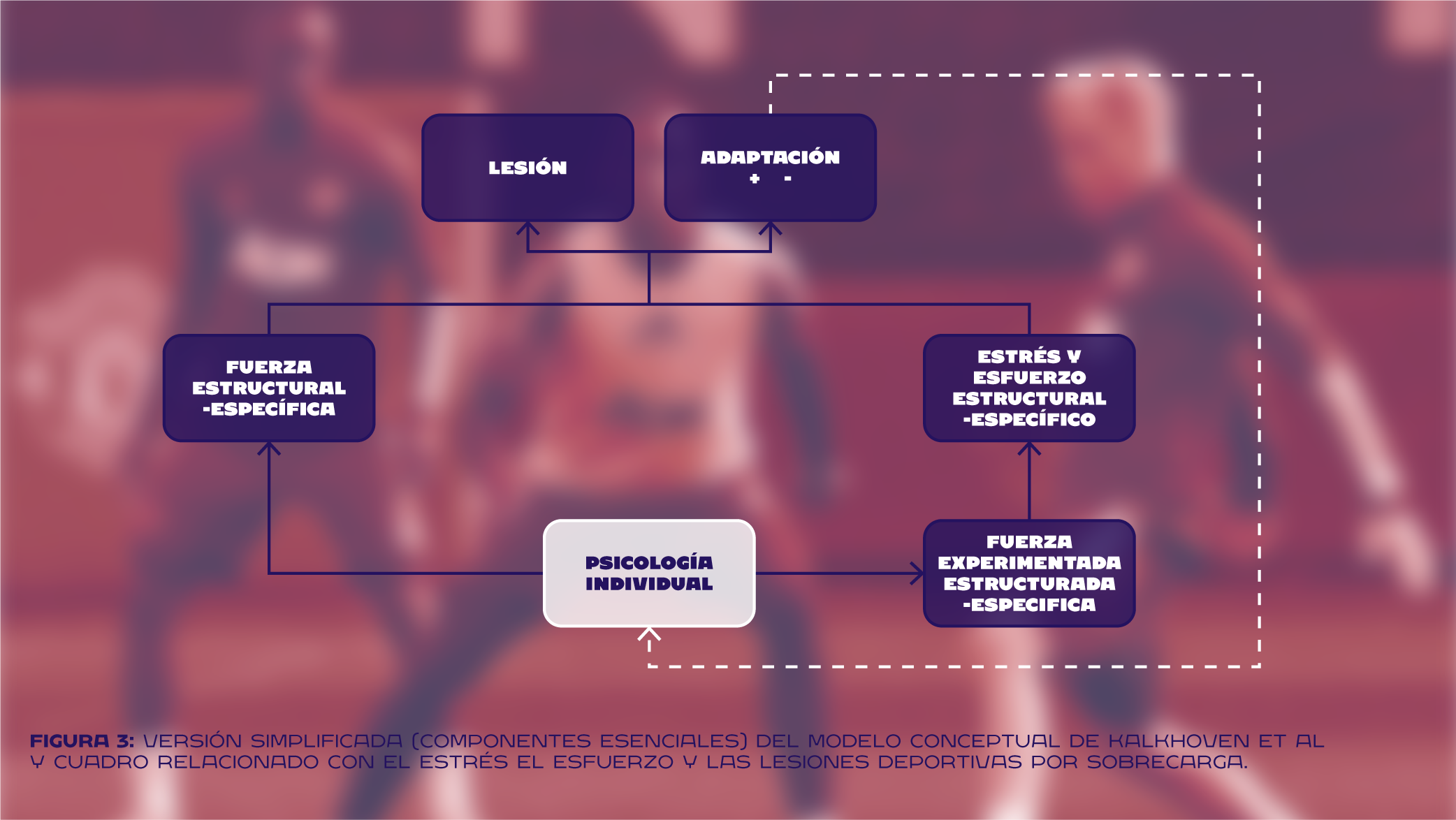 Carga de entrenamiento y su función en la prevención de lesiones. Parte I: Regreso al futuro RRSS 0111 03 - Carga de entrenamiento y su función en la prevención de lesiones. Parte I: Regreso al futuro