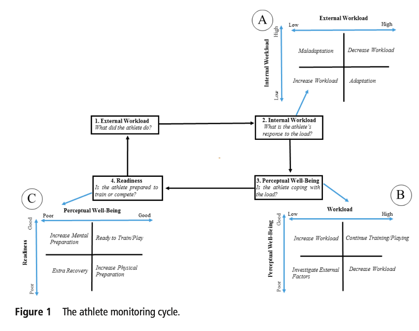 EL CICLO DE MONITORIZACIÓN DEL ATLETA