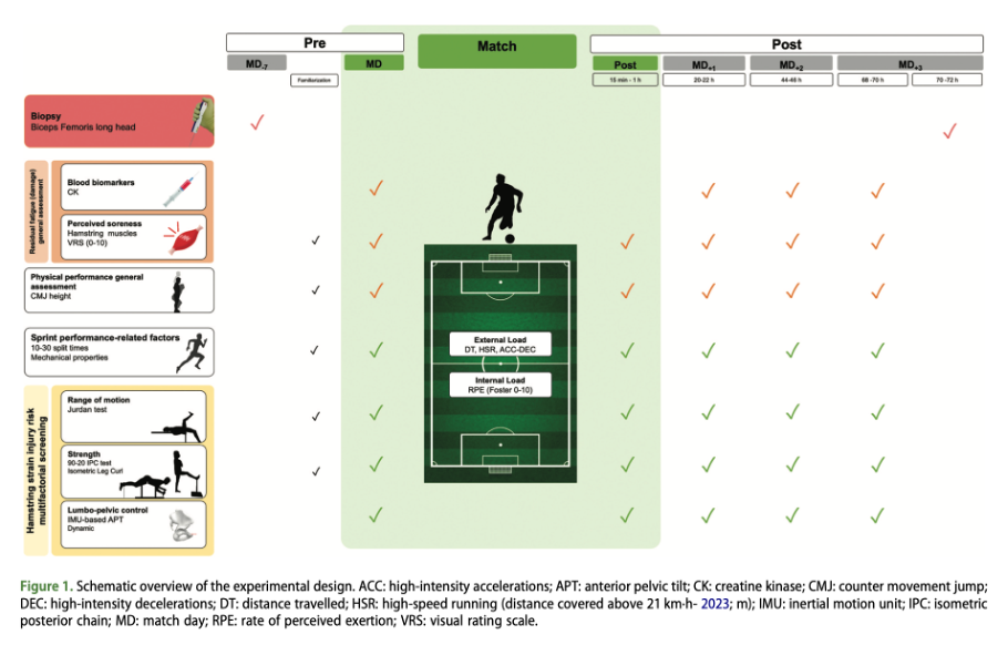Importancia de la recuperación de 72 horas en las lesiones de isquiotibiales en Fútbol 72 horas recup 1 - Importancia de la recuperación de 72 horas en las lesiones de isquiotibiales en Fútbol