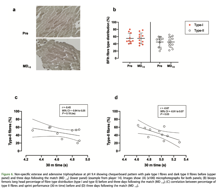 Importancia de la recuperación de 72 horas en las lesiones de isquiotibiales en Fútbol 72 horas recup 8 - Importancia de la recuperación de 72 horas en las lesiones de isquiotibiales en Fútbol