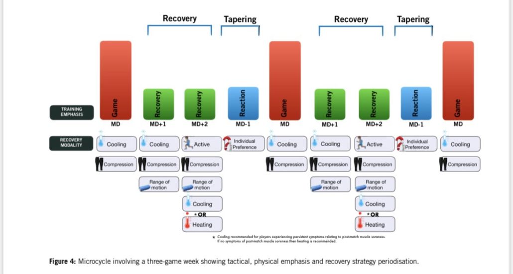 La extinción del microciclo tipo. Crónica de una muerte anunciada Robin Thorpe Recovery 3 games 1030x551 - La extinción del microciclo tipo. Crónica de una muerte anunciada