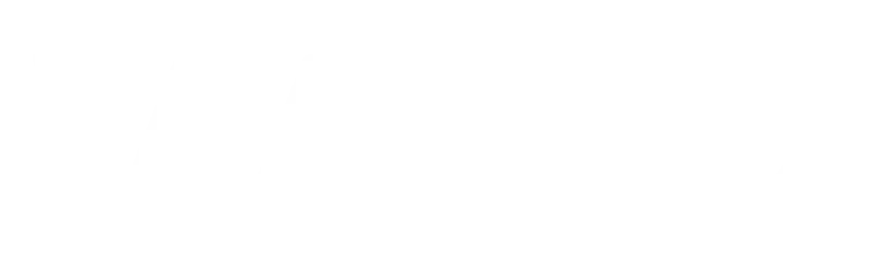 MÁSTER EN PREPARACIÓN FÍSICA EN FÚTBOL vald logo blanco e1739891609267 - MÁSTER EN PREPARACIÓN FÍSICA EN FÚTBOL